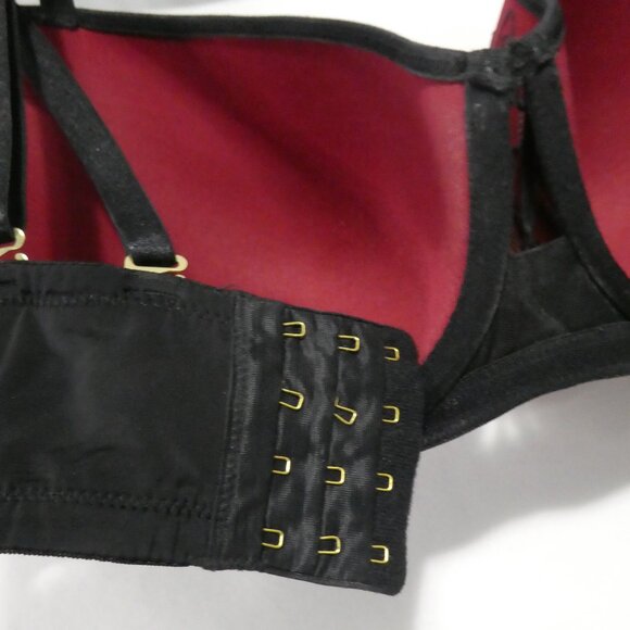 AG - ASHLEY GRAHAM | 40 DDD | Burgundy & Black Lace Detail Bra | Double Straps - Picture 16 of 16